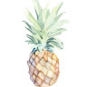 Meet your Posher, Monet